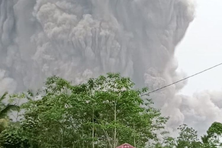 Letusan Gunung Semeru terlihat dari Oro Oro Ombo, Pronojiwo, Kabupaten Lumajang, Jawa Timur, Sabtu (4/12/2021). Gunung Semeru meletus dan mengeluarkan awan panas yang mengakibatkan hujan abu di Kabupaten Lumajang dan Malang. ANTARA FOTO/HO/Humas BNPB/wpa/rwa.