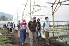 Entaskan Kemiskinan Melalui Pertanian Sayur, Dompet Dhuafa Kenalkan Desa Tani 