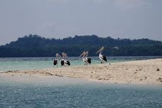 Wisata Kepulauan Kei Maluku Tenggara, Ada Hukum Adat dan Pantai Indah 