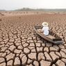 PBB: 40 Persen Tanah di Bumi Telah Terdegradasi
