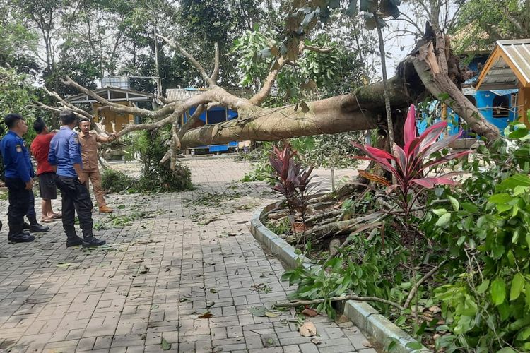 Angin puting beliung menerjang puluhan rumah warga di Kampung Cisalak Nyompok Rt 01/03, 02/03, 04/02 Desa Cirendeu, Kecamatan Solear, Kabupaten Tangerang terjadi setelah hujan disertai angin kencang pada Senin (19/9/2022). Puluhan rumah rusak parah dan ada korban luka-luka.