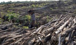 RUU Pangan Dinilai Belum Cukup Antisipasi Krisis Iklim