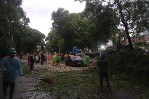 Pengemudi Mobil Tewas Tertimpa Pohon di Dharmawangsa Jaksel