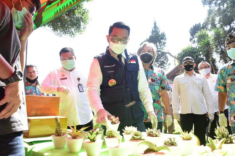 Gubernur Jabar Ridwan Kamil secara langsung melepas ekspor komoditas sayuran dan tanaman hias di UPTD Balai Pengembangan Benih Hortikultura dan Aneka Tanaman Instalasi Margahayu, Lembang, Kabupaten Bandung Barat, Rabu (11/11/2020).