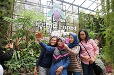 Orchid Forest Cikole in Bandung, Indonesia is a Nature Attraction Worth Visiting
