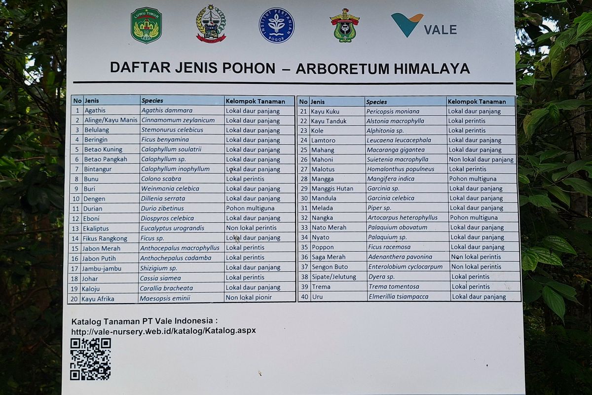 Daftar jenis pohon di Arboretum Himalaya Hill menunjukkan koleksi flora lokal dan endemik hasil reklamasi PT Vale Indonesia bersama lembaga riset dan pemerintah.