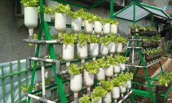 Mewujudkan Kemandirian Pangan Indonesia lewat 