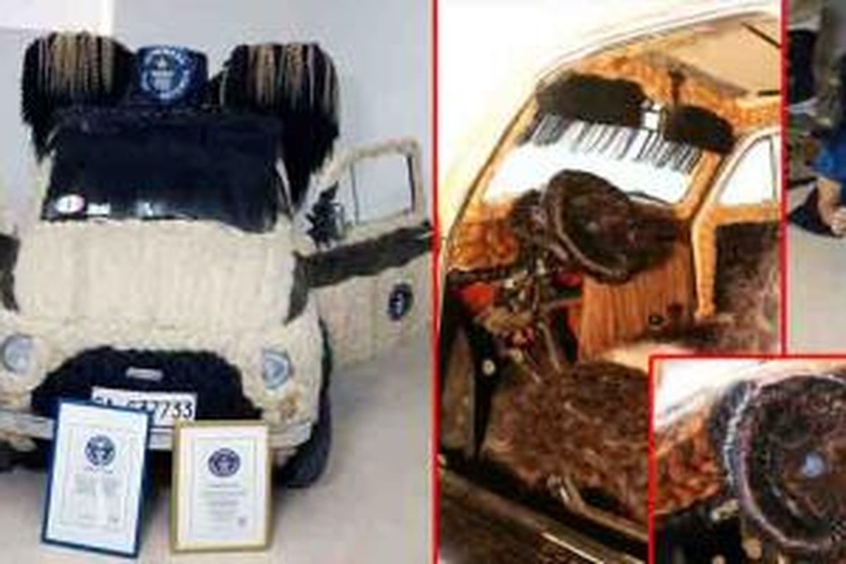 Fiat milik penata gaya rambut Maria Lucia Mugno dianugerahi rekor Guinness World Record sebagai mobil tertutupi rambut manusia paling banyak.