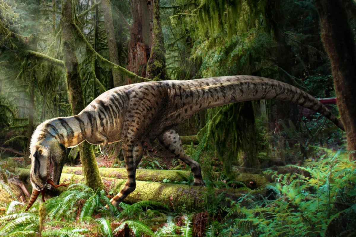 Ilustrasi Gorgosaurus, sepupu T-rex yang memakan dinosaurus kecil