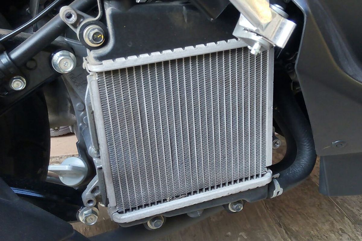 Radiator motor.