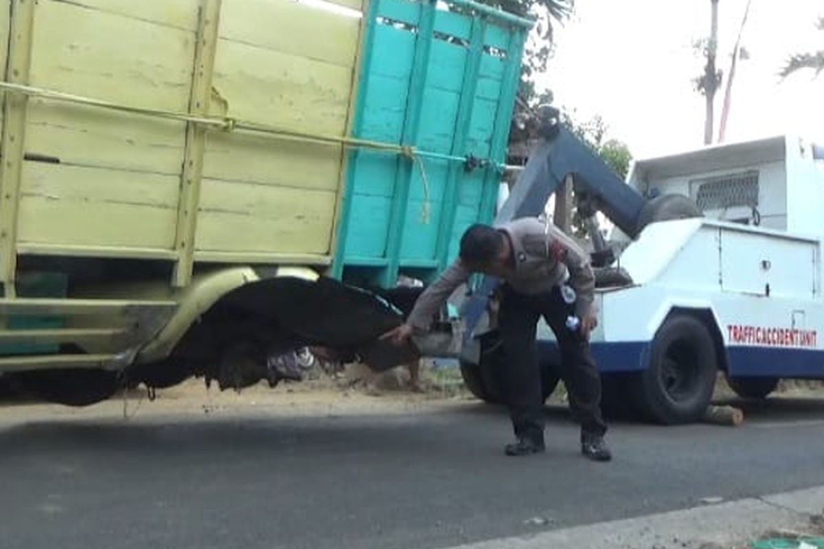 Petugas melakukan olah Tempat Kejadian Perkara (TKP) kecelakaan truk pengangkut kayu bakar yang dipicu lepasnya roda belakang, di Desa Jenisgelaran, Kecamatan Bareng, Kabupaten Jombang, Jawa Timur.