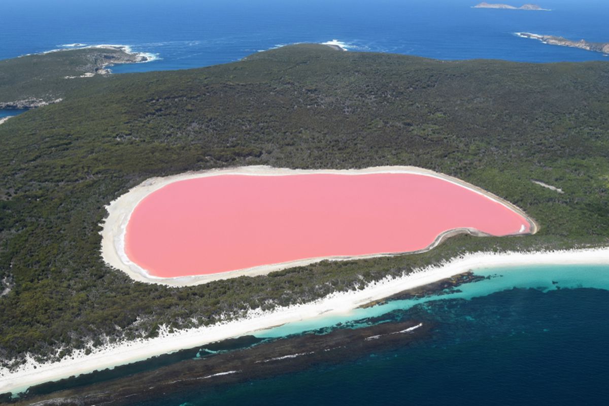 Danau Hillier, danau berwarna merah muda