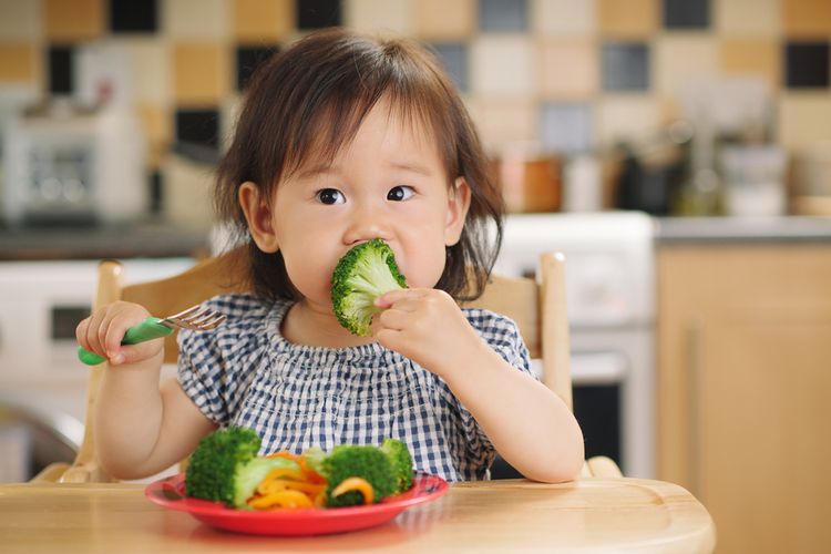Ilustrasi anak makan sayur. Dalam memperingati Hari Gizi Nasional 2024, IDAI mengatakan bahwa keamanan makanan anak salah satu faktor risiko stunting yang harus diperhatikan.