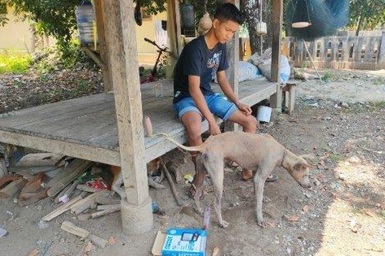 Reihan Agustian saat bersama anjingnya di depan rumah di Madasari, Desa Masawah, Kecamatan Cimerak, Kabupaten