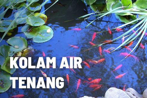 Pengertian Kolam Air Tenang beserta Kelebihan dan Kekurangannya 