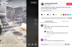 Video Kabin Mobil Terbakar akibat Powerbank