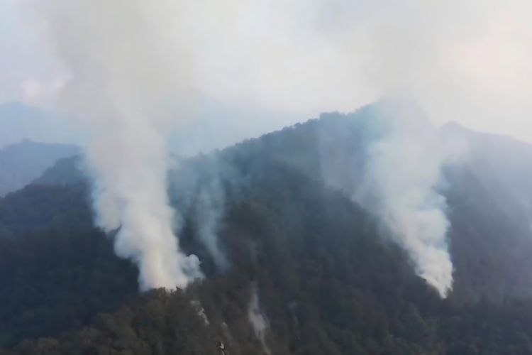 Kebakaran Gunung Arjuno, Satu dari Tiga Titik Api Belum Terjangkau Tim Darat