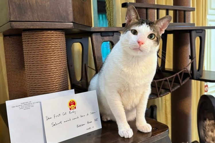 Hadiah yang Diterima Bobby Kucing Prabowo: Rumah, Syal, dan Boneka