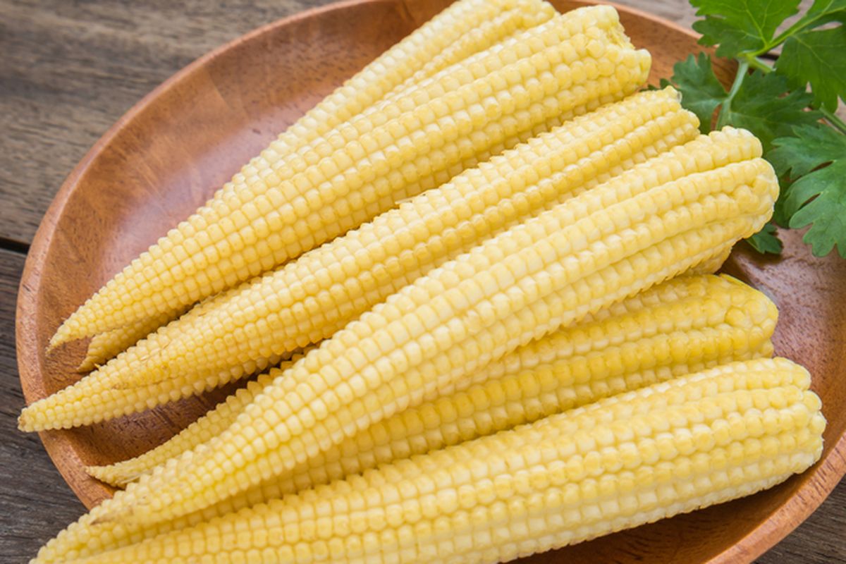 Ilustrasi jagung muda atau baby corn, jagung putren.