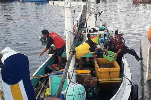 Cerita Nelayan di Banyuwangi, Hasil Tangkapan Tak Menentu, Berharap Bantuan Pemerintah