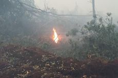 Bank Dunia: Kebakaran Hutan Rugikan Indonesia Rp 221 Triliun
