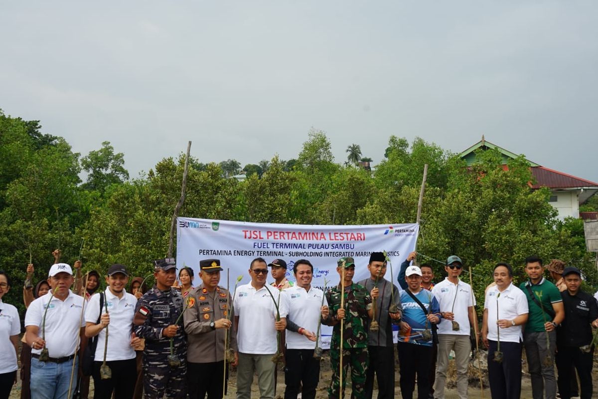 Penanaman 1.500 pohon mangrove di pesisir Pulau Sambu, Batam, Kepri, oleh PIS. 