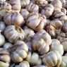 KPPU Minta Pemerintah Tak Hambat Permintaan Impor Bawang Putih, Mengapa?