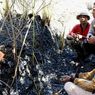 2 Pembakar Hutan di Samosir Sumut Ditangkap