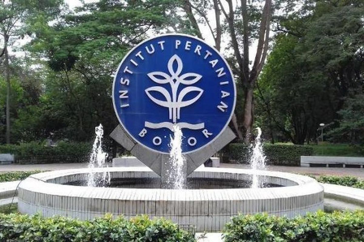Logo IPB.