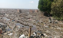 Hutan Mangrove di Surabaya Timur Terancam Dikepung Sampah, Aliran Anak Sungai Seperti TPA