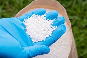 China Buka Keran Ekspor Urea, Krisis Pupuk Global Berpotensi Mereda