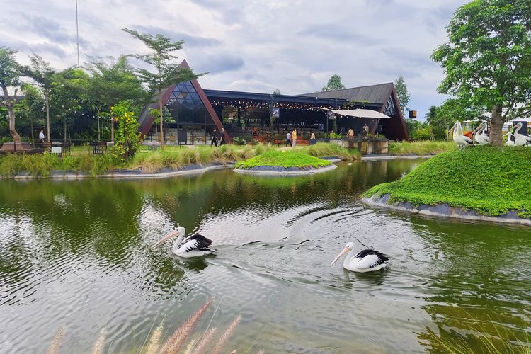 Aviary Park Indonesia, ekowisata dan kawasan pelestarian satwa baru buka di Tangerang Selatan, Senin (24/2/2025). 