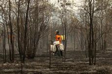 UKP4 Temukan 15 Perusahaan Tak Punya Sarana untuk Kebakaran Hutan, Mengapa Kasusnya Dihentikan?