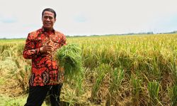 Terobosan Mentan Amran Percepat Pencapaian Swasembada Pangan