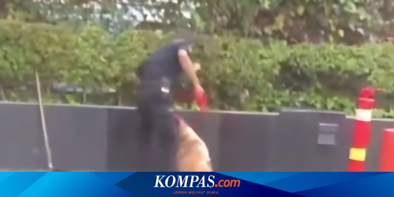 Kasus Sekuriti PI Pukul Anjing Berakhir Damai, Nasarius Batal Dipecat