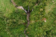 Ayah di Sultra Tewas Usai Terjatuh Saat Lerai 2 Anaknya Berkelahi