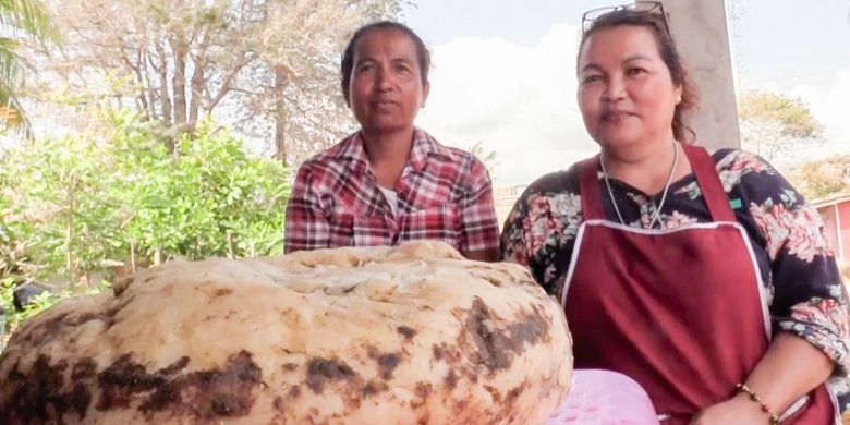 Mengenal Ambergris Muntahan Paus Yang Harganya Hingga Miliaran Rupiah Halaman All Kompas Com