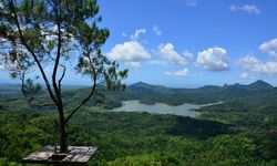 Wisata Kalibiru, Sempat Gersang Sebelum Viral...