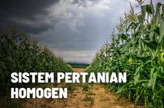 Mengenal Sistem Pertanian Homogen beserta Kelebihan dan Kekurangannya 