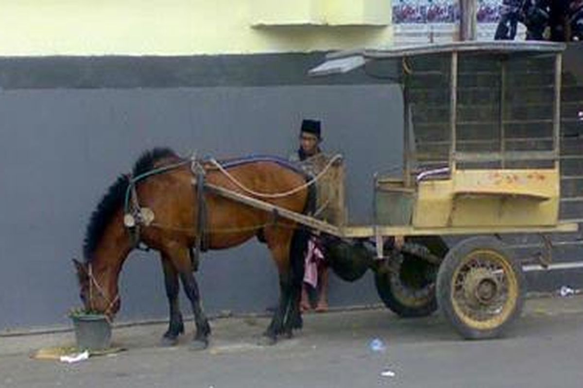 Menurut Pak Bedu, sebenarnya anak-anaknya sudah protes kalau ayahnya tetap meneruskan profesinya sebagai kusir bendi atau Hardtop Bugis ini.
