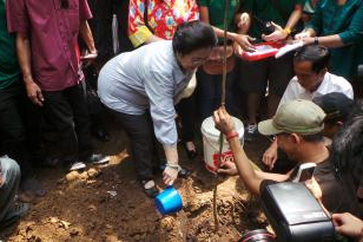  Gubernur DKI Jakarta Joko Widodo bersama Megawati Soekarno Putri dan juga Puan Maharani meninjau wilayah percontohan Konservasi Ciliwung di Saung Komunitas Ciliwung-Condet, Jalan Munggung Raya nomor 6, Batu Ampar, Condet, Jakarta Timur, Minggu (10/11/2013). 