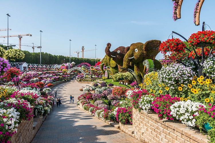 Ilustrasi Dubai - Dubai Miracle Garden.