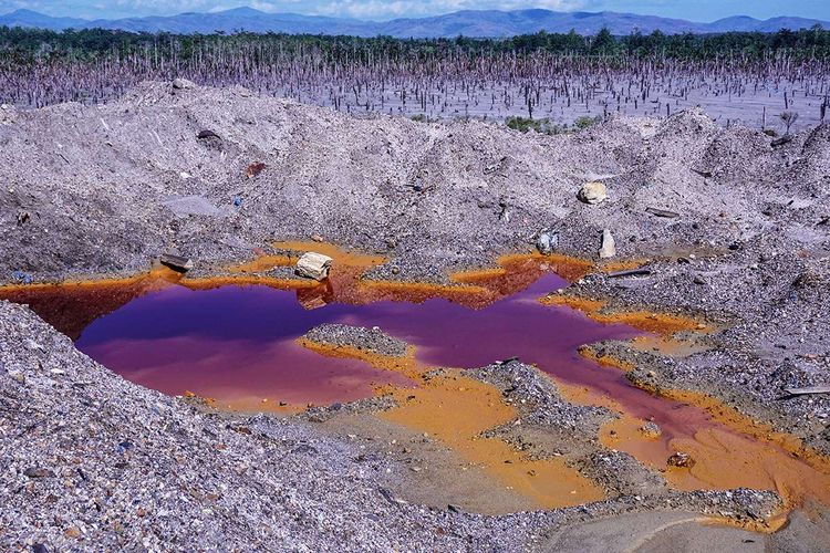 Kawasan kebun sagu yang terkena limbah merkuri di Gunung Botak, Pulau Buru, Maluku, Rabu (28/11/2018). Penambangan emas ilegal dengan menggunakan merkuri dan sianida di kawasan itu mengakibatkan kebun sagu seluas 40 hektare mengalami kerusakan. ANTARA FOTO/Rivan Awal Lingga/kye.