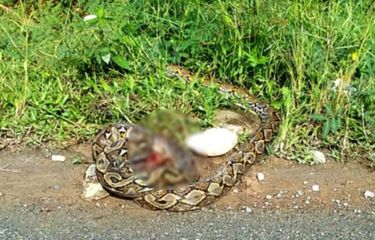 Qin ichida suv video