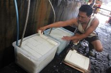 Harga Kedelai Impor Melonjak, Pengusaha Tahu di Kota Malang Pangkas Produksi