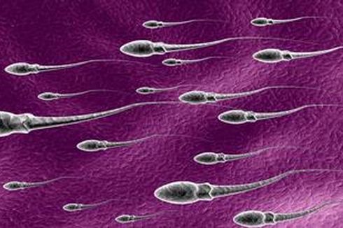 Pil KB Masa Depan Bisa Stop Aliran Sperma
