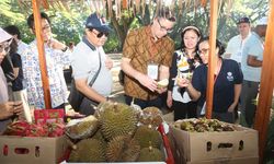 17 Delegasi Internasional Kunjungi Banyuwangi, Ini Kata Mereka