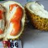Ekspor ke Singapura, Durian Merah Banyuwangi Dibanderol Rp 400.000 Per Dua Kilogram
