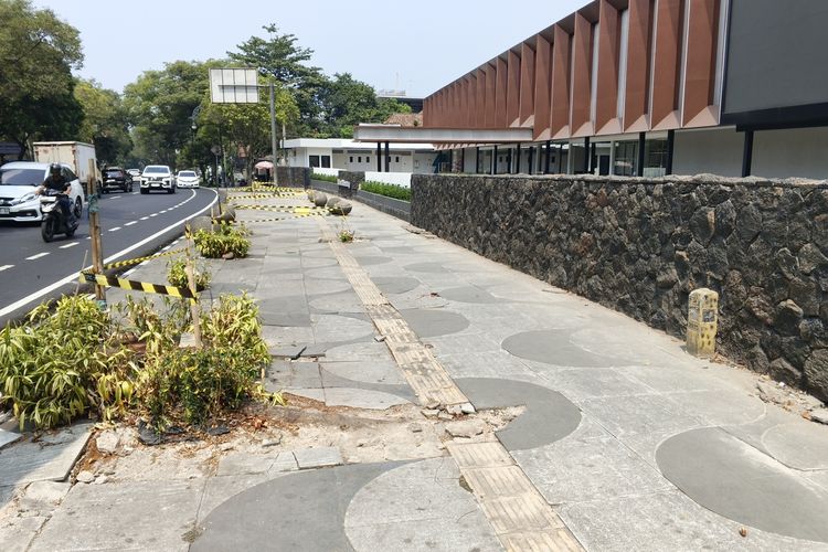 Penebang 10 Pohon di Cihapit Terungkap, Ternyata Subkontraktor Taman, Pemberi Perintah Ditelusuri