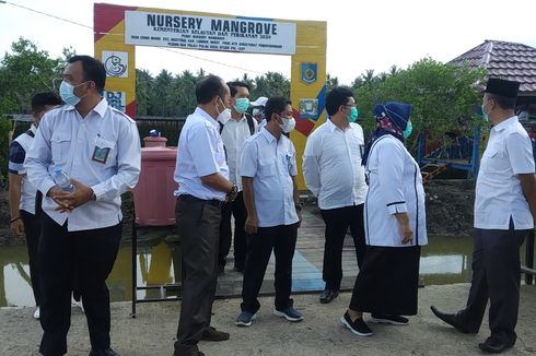 Menteri KP Optimistis Budidaya Lobster di Lombok Mampu Imbangi Vietnam
